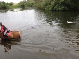 IMG_1032_web